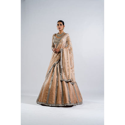 Vvani by Vani Vats Beige Mirror Seam Lehenga with Mirror Blouse & Dupatta (Set of 3)