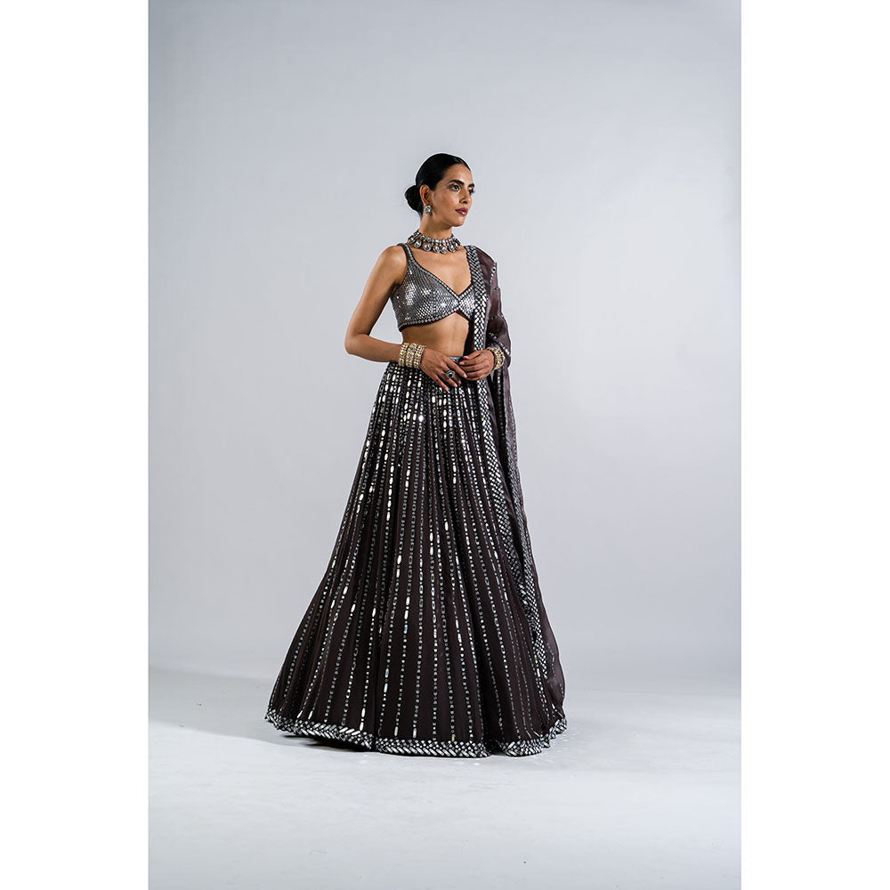 Vvani by Vani Vats Charcoal Grey Drop Lehenga with Metallic Blouse & Dupatta (Set of 3)