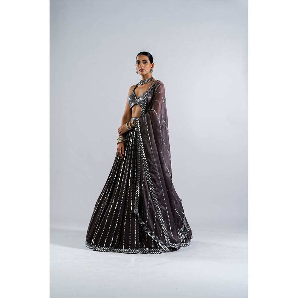 Vvani by Vani Vats Charcoal Grey Drop Lehenga with Metallic Blouse & Dupatta (Set of 3)