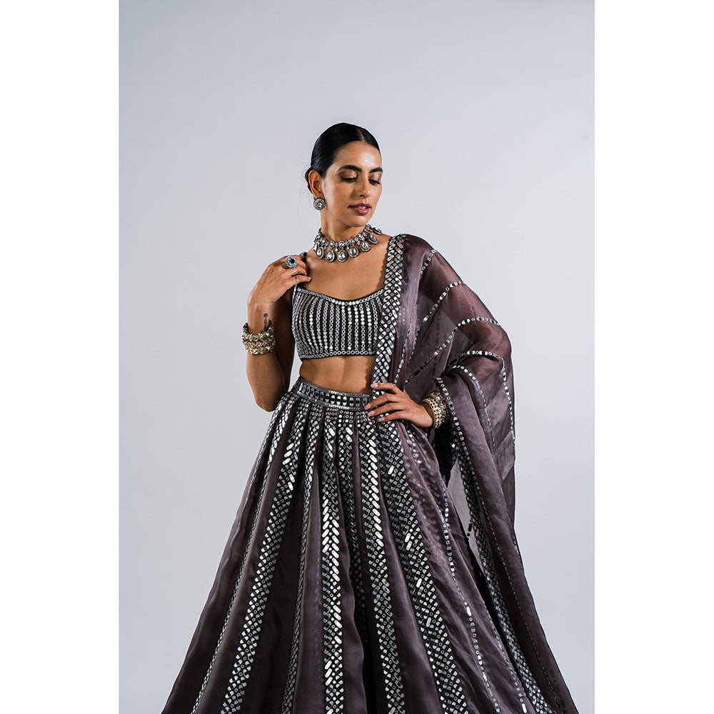 Vvani by Vani Vats Charcoal Grey Seam Lehenga with Mirror Blouse & Dupatta (Set of 3)