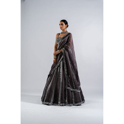 Vvani by Vani Vats Charcoal Grey Seam Lehenga with Mirror Blouse & Dupatta (Set of 3)