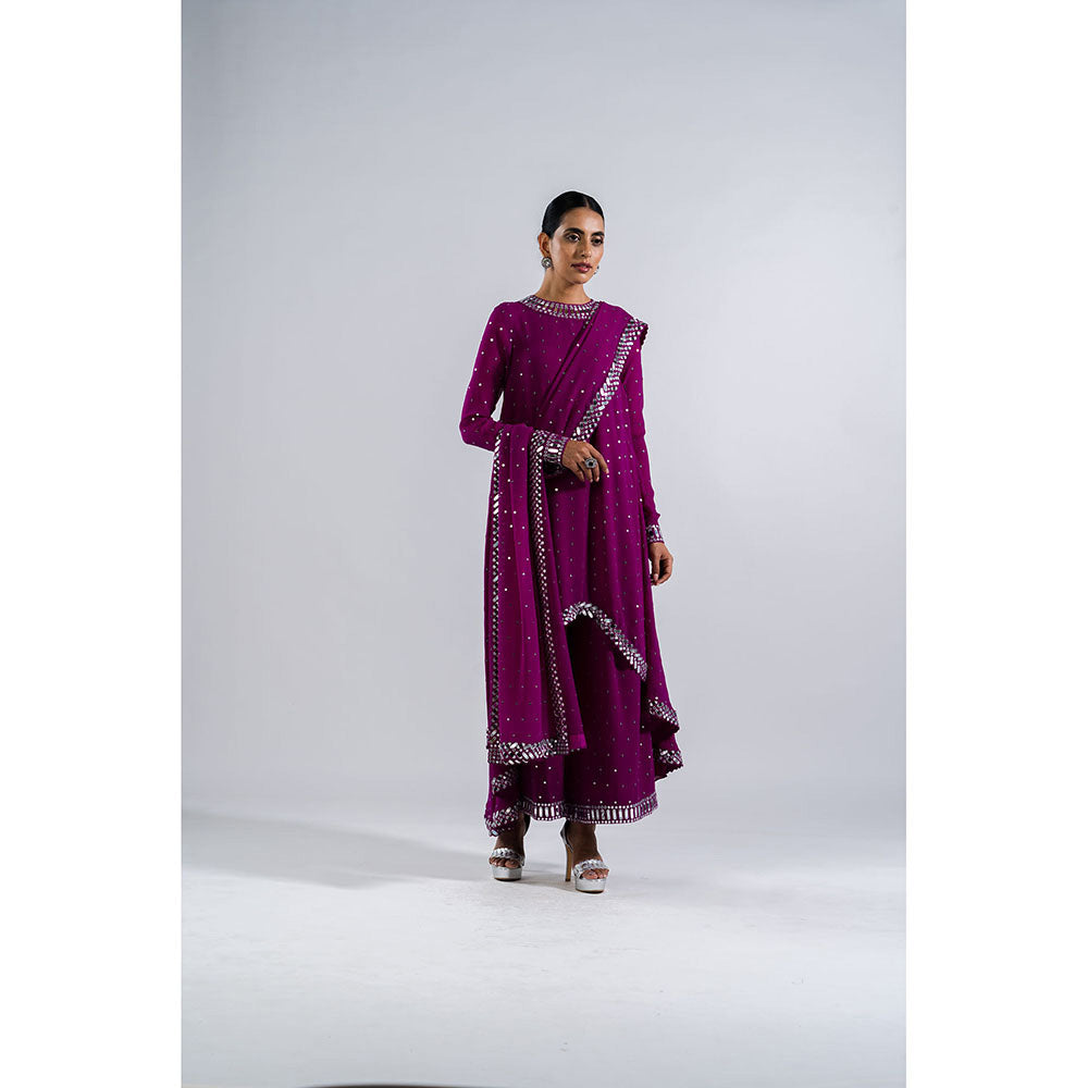 Vvani by Vani Vats Pop Wine Asymmetrical Kurta & Palazzo with Dupatta (Set of 3)