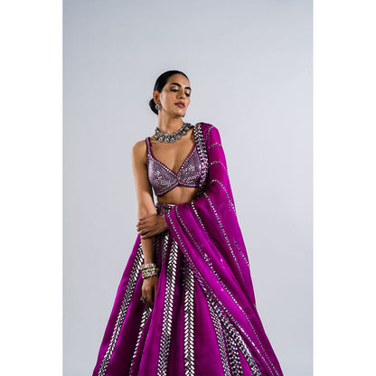 Vvani by Vani Vats Pop Wine Mirror Seam Blouse with Lehenga & Dupatta (Set of 3)