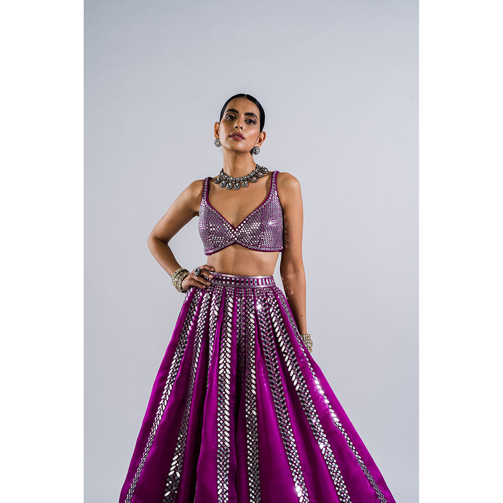 Vvani by Vani Vats Pop Wine Mirror Seam Blouse with Lehenga & Dupatta (Set of 3)