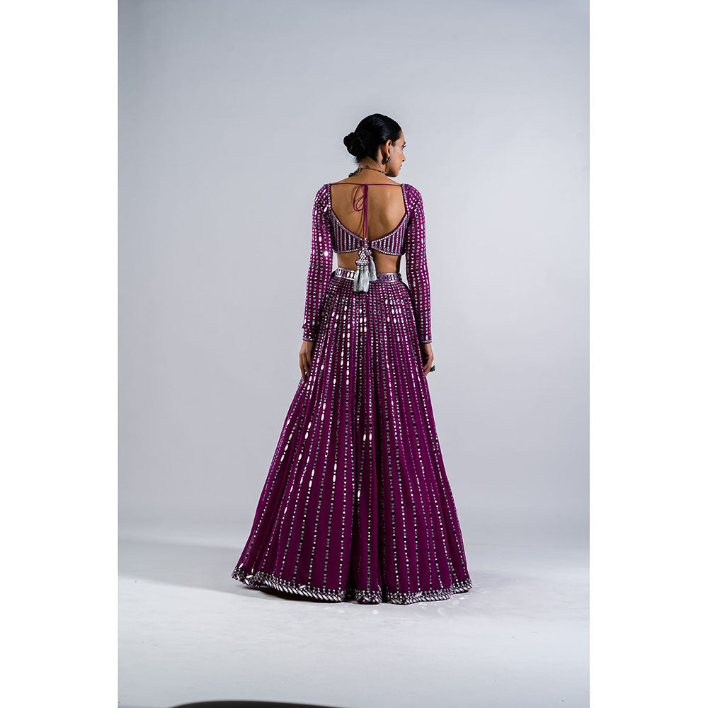 Vvani by Vani Vats Pop Wine Linear Drop Blouse with Lehenga & Dupatta (Set of 3)