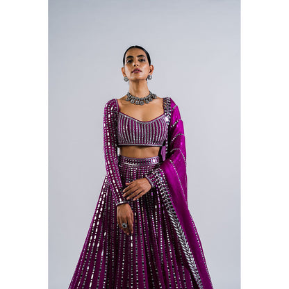 Vvani by Vani Vats Pop Wine Linear Drop Blouse with Lehenga & Dupatta (Set of 3)