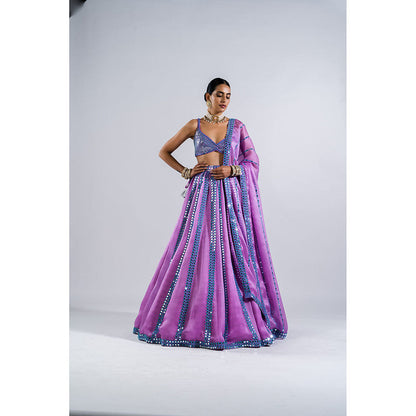Vvani by Vani Vats Lavender Mirror Seam Lehenga with Metallic Blouse & Dupatta (Set of 3)
