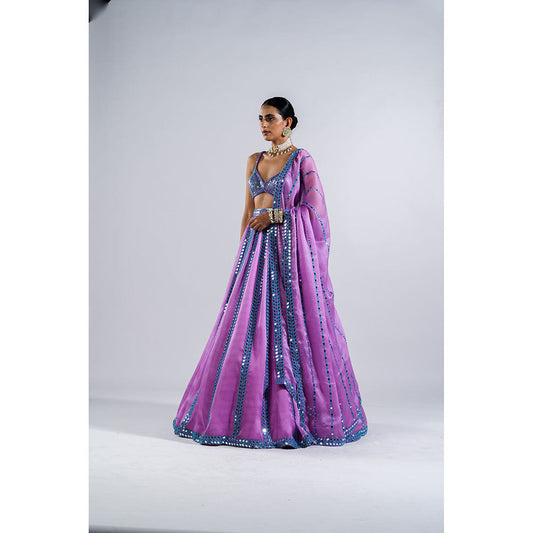 Vvani by Vani Vats Lavender Mirror Seam Lehenga with Metallic Blouse & Dupatta (Set of 3)