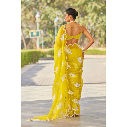 Vvani by Vani Vats Moss Green Flower Saree & Stitched Blouse