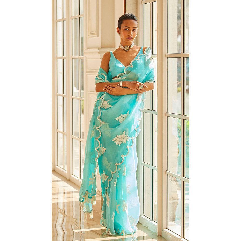 Vvani by Vani Vats Blue Flower Saree & Stitched Blouse