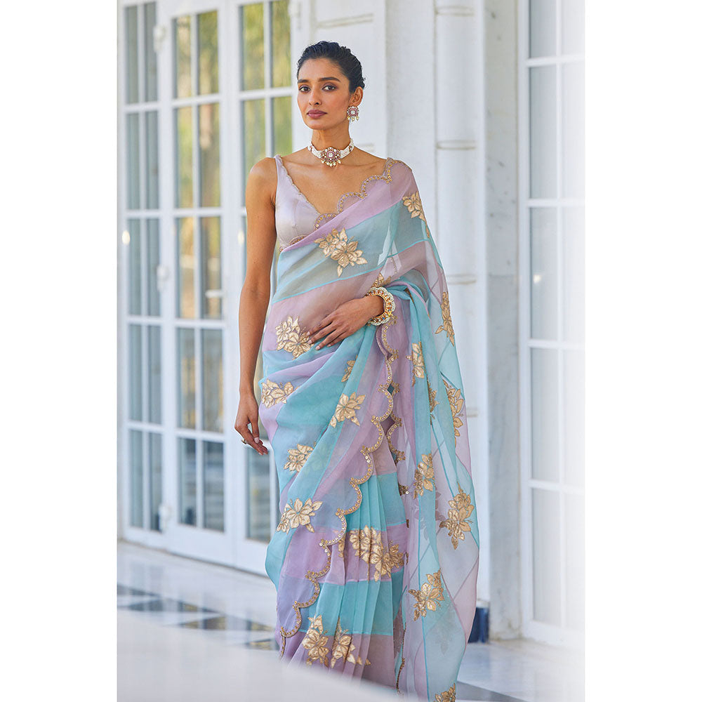 Vvani by Vani Vats Multicolor Flower Saree & Stitched Blouse