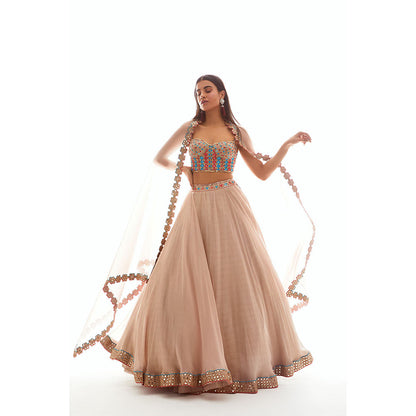 Vvani by Vani Vats Beige Applique Corset Blouse with Lehenga & Dupatta (Set of 3)