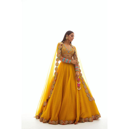 Vvani by Vani Vats Mustard Applique Blouse with Lehenga & Dupatta (Set of 3)