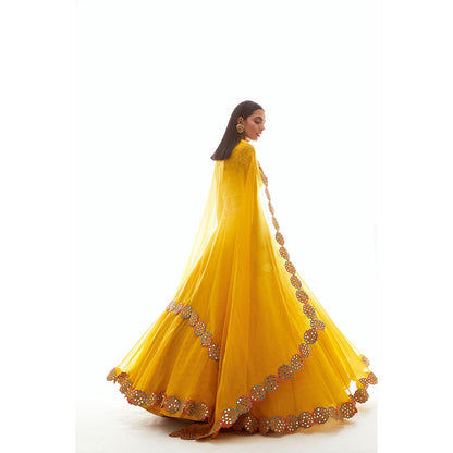 Vvani by Vani Vats Mustard Applique Blouse with Lehenga & Dupatta (Set of 3)