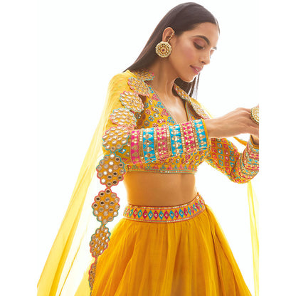 Vvani by Vani Vats Mustard Applique Blouse with Lehenga & Dupatta (Set of 3)