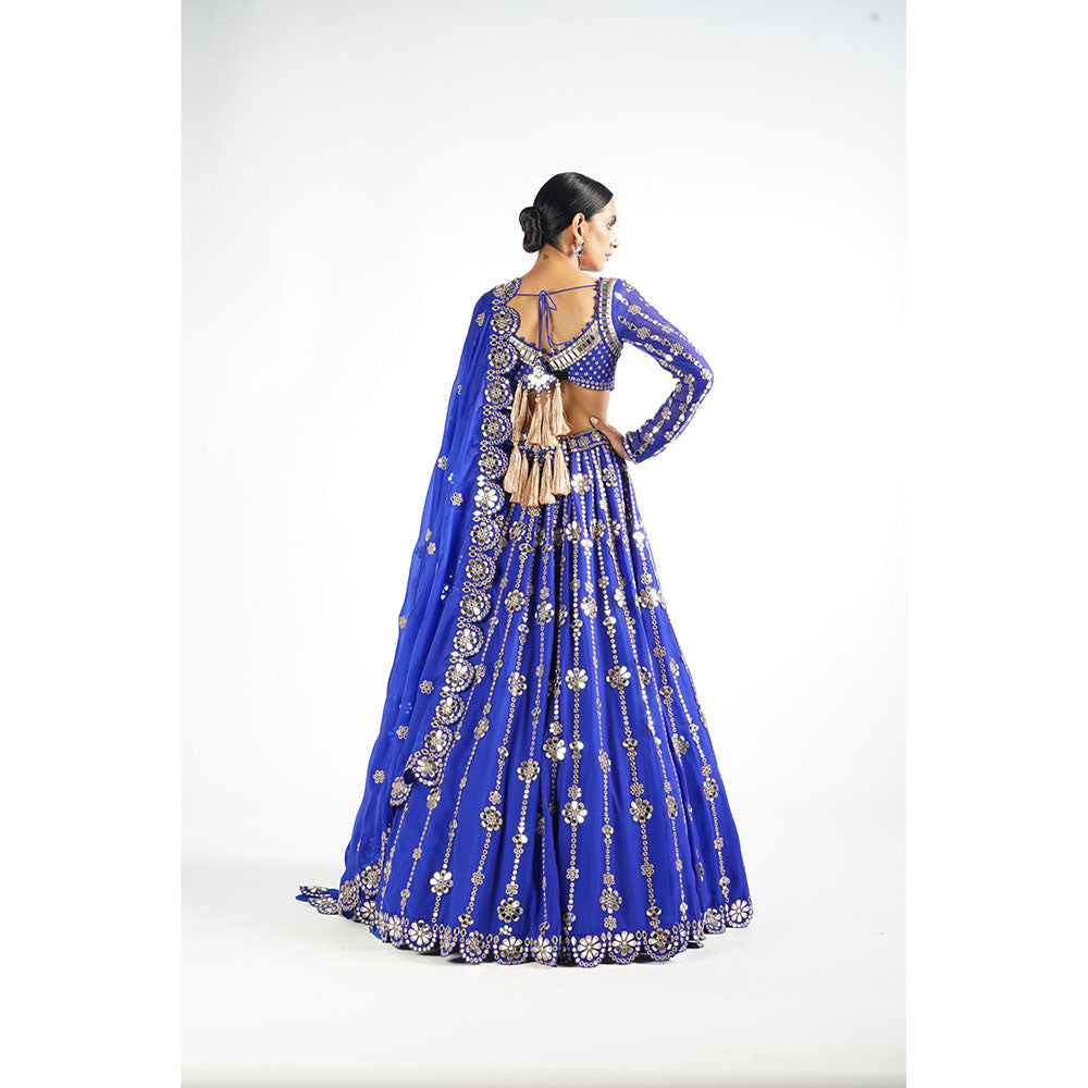 Vvani by Vani Vats Royal Blue Big Flower Linear Blouse with Lehenga & Dupatta (Set of 3)