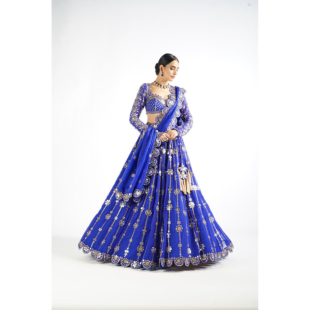 Vvani by Vani Vats Royal Blue Big Flower Linear Blouse with Lehenga & Dupatta (Set of 3)