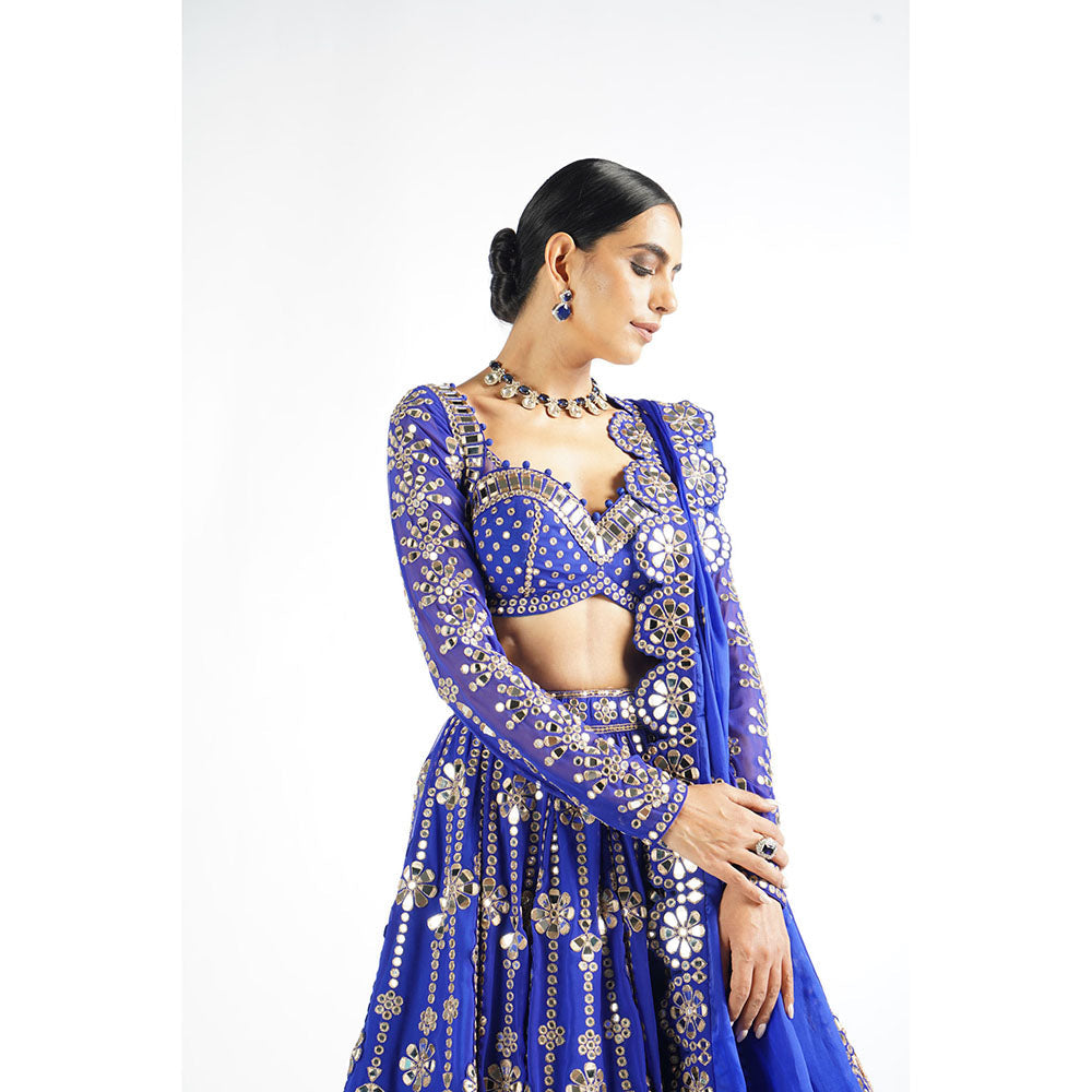 Vvani by Vani Vats Royal Blue Big Flower Linear Blouse with Lehenga & Dupatta (Set of 3)
