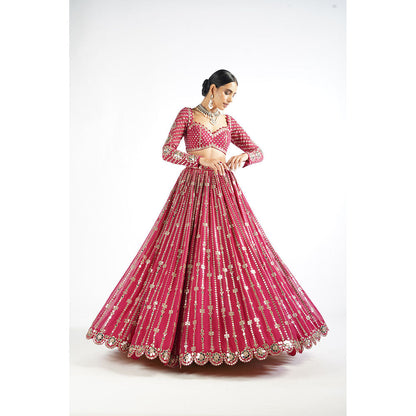 Vvani by Vani Vats Mellow Pink Small Flower Linear Blouse with Lehenga & Dupatta (Set of 3)