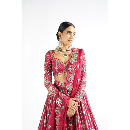 Vvani by Vani Vats Mellow Pink Small Flower Linear Blouse with Lehenga & Dupatta (Set of 3)