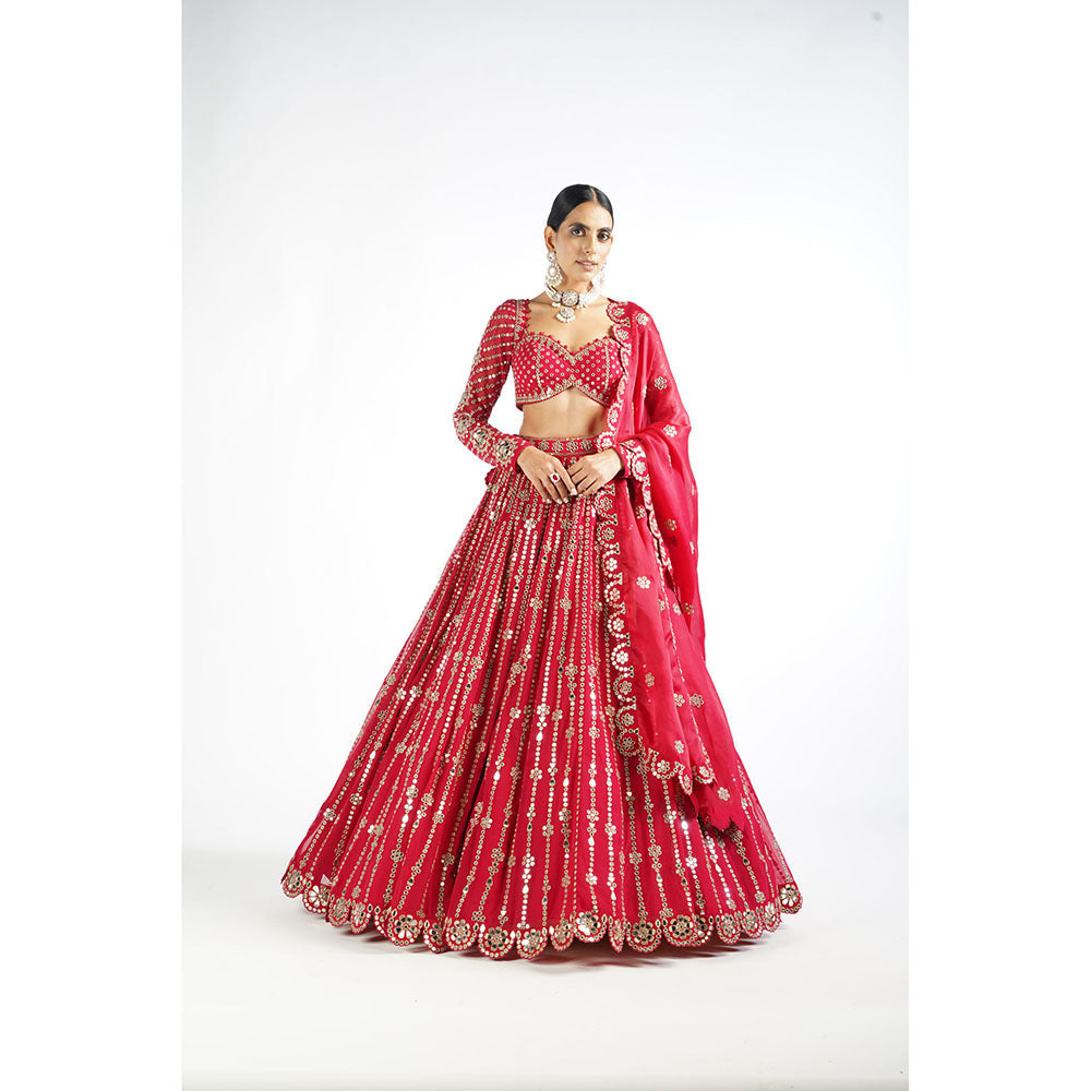 Vvani by Vani Vats Crimson Red Small Flower Linear Blouse with Lehenga & Dupatta (Set of 3)