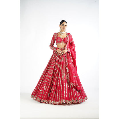 Vvani by Vani Vats Crimson Red Small Flower Linear Blouse with Lehenga & Dupatta (Set of 3)