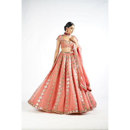 Vvani by Vani Vats Mellow Rose Chandelier Drop Blouse with Lehenga & Dupatta (Set of 3)