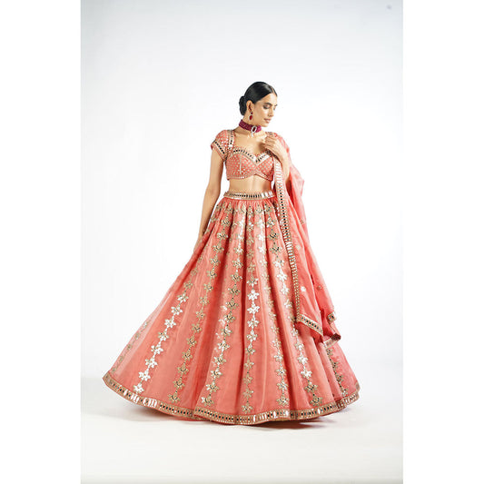 Vvani by Vani Vats Mellow Rose Chandelier Drop Blouse with Lehenga & Dupatta (Set of 3)
