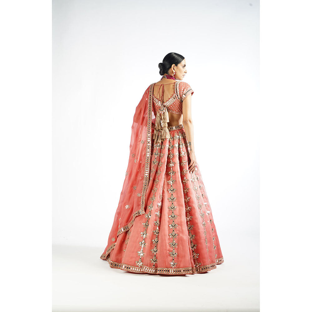 Vvani by Vani Vats Mellow Rose Chandelier Drop Blouse with Lehenga & Dupatta (Set of 3)