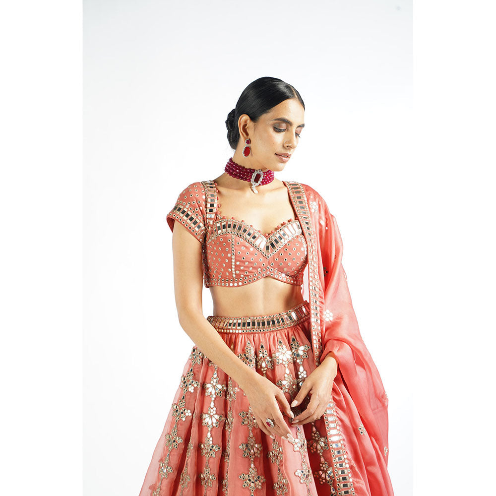 Vvani by Vani Vats Mellow Rose Chandelier Drop Blouse with Lehenga & Dupatta (Set of 3)
