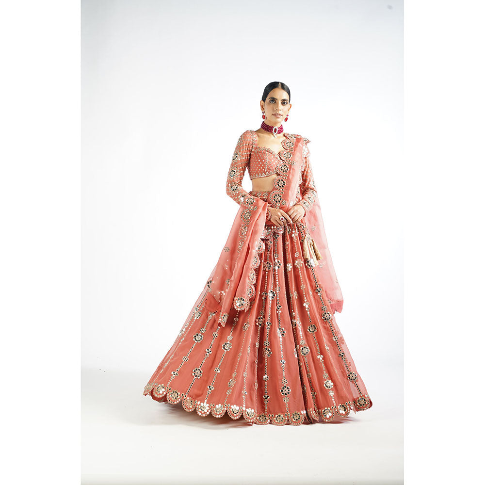 Vvani by Vani Vats Mellow Rose Big Flower Linear Blouse with Lehenga & Dupatta (Set of 3)