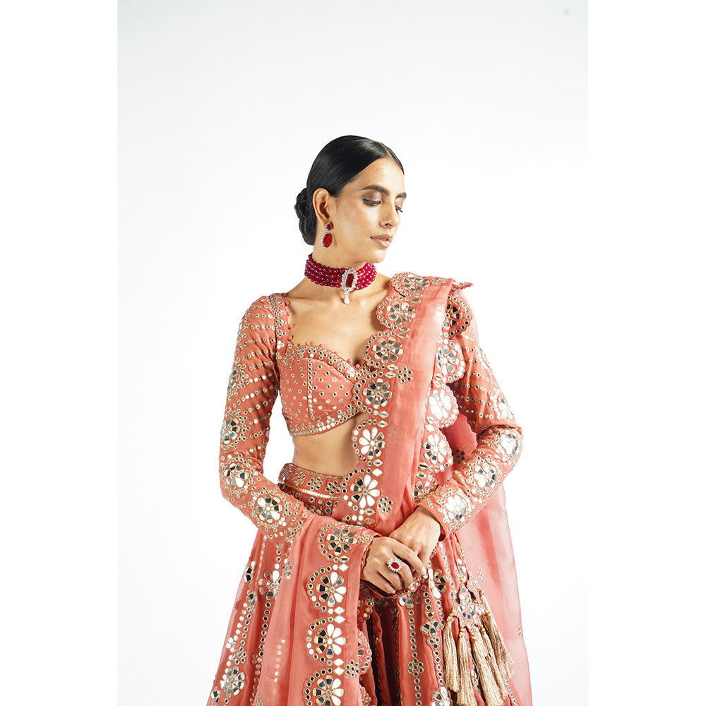 Vvani by Vani Vats Mellow Rose Big Flower Linear Blouse with Lehenga & Dupatta (Set of 3)