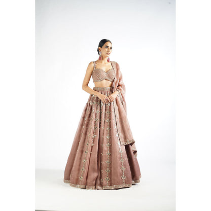 Vvani by Vani Vats Deep Beige Chandelier Drop Blouse with Lehenga & Dupatta (Set of 3)