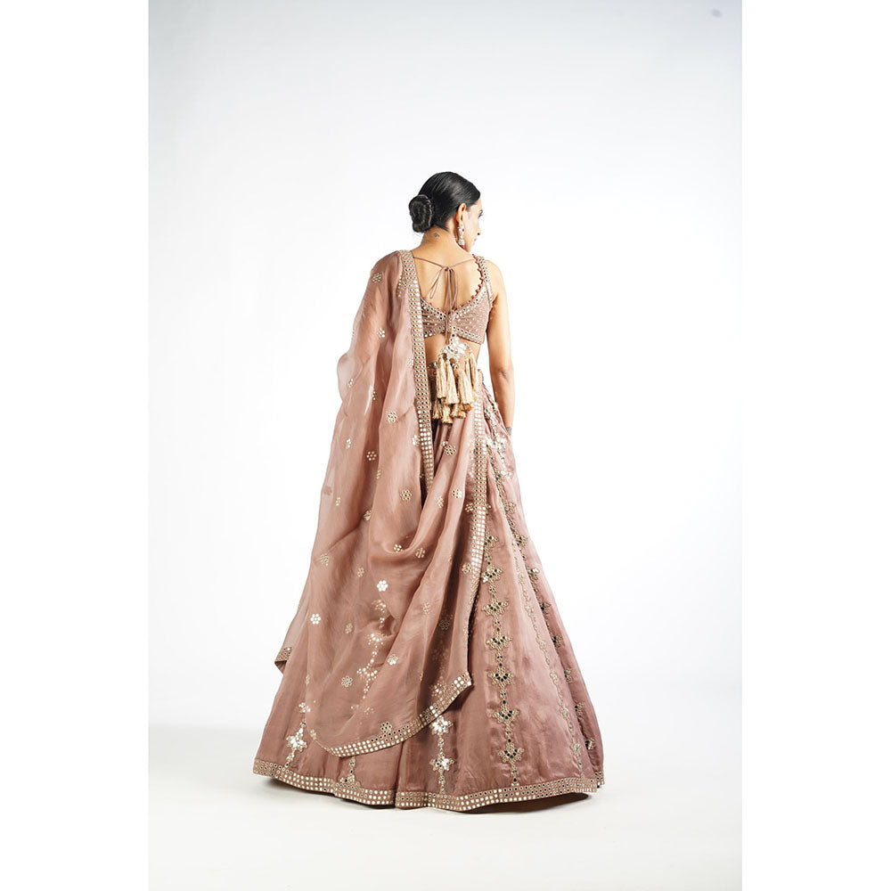 Vvani by Vani Vats Deep Beige Chandelier Drop Blouse with Lehenga & Dupatta (Set of 3)