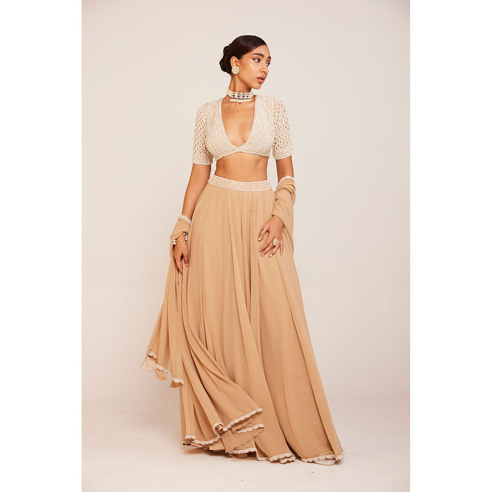 Vvani by Vani Vats Pearl Embellished Blouse with Lehenga Palazzo And Dupatta (Set of 3)