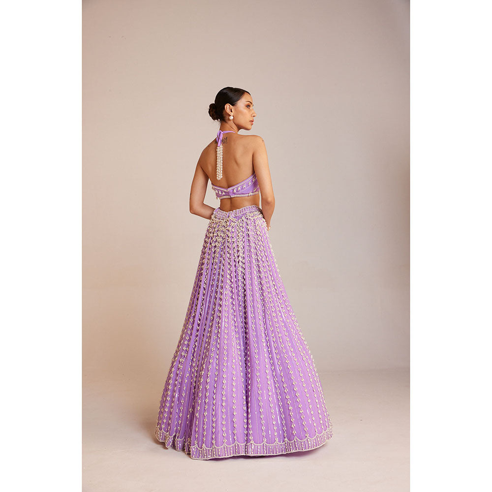 Vvani by Vani Vats Lilac Chandelier Skirt Paired with Halter Neck Drop Crop Top (Set of 2)
