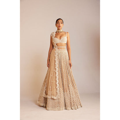 Vvani by Vani Vats Beige Chandelier Pearl Lehenga with Blouse, Dupatta & Belt (Set of 4)