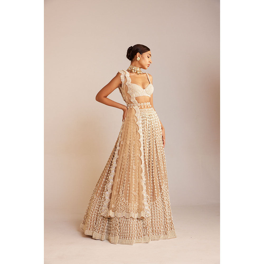 Vvani by Vani Vats Beige Chandelier Pearl Lehenga with Blouse, Dupatta & Belt (Set of 4)