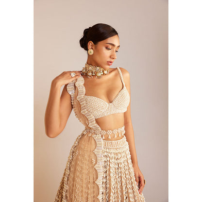 Vvani by Vani Vats Beige Chandelier Pearl Lehenga with Blouse, Dupatta & Belt (Set of 4)