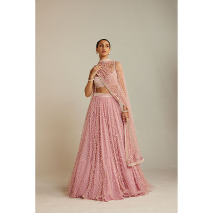 Vvani by Vani Vats Powder Pink Dense Lehenga with Embellished Blouse & Dupatta (Set of 3)