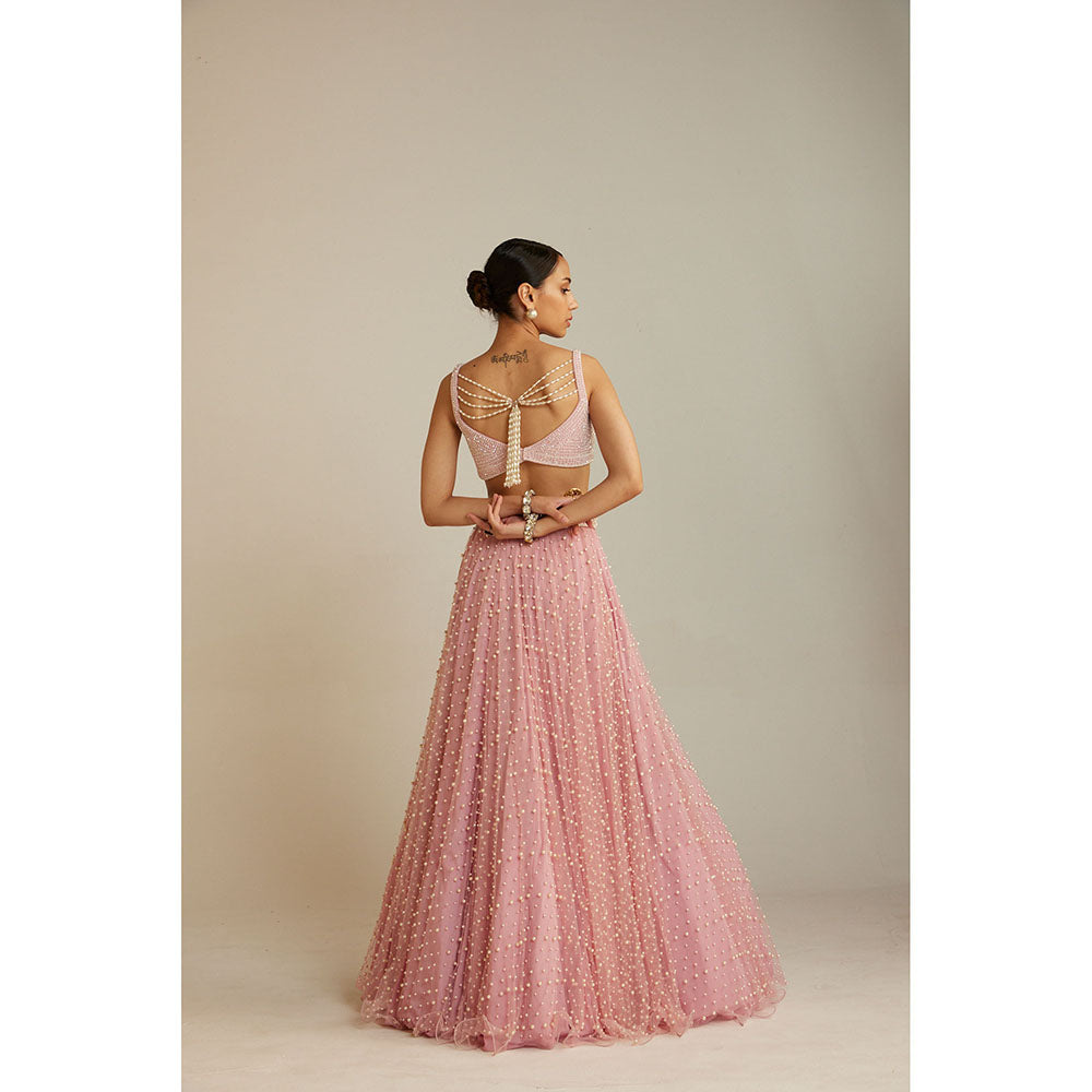 Vvani by Vani Vats Powder Pink Dense Lehenga with Embellished Blouse & Dupatta (Set of 3)