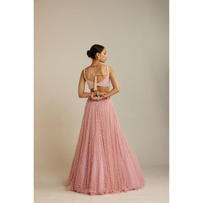 Vvani by Vani Vats Powder Pink Dense Lehenga with Embellished Blouse & Dupatta (Set of 3)
