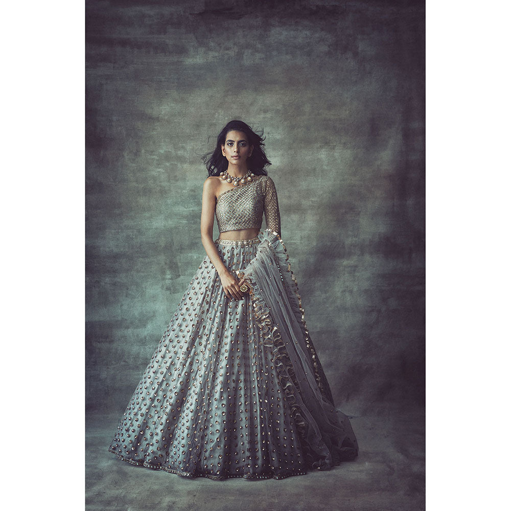 Vvani by Vani Vats Light Grey One Sleeve Blouse with Lehenga & Dupatta (Set of 3)