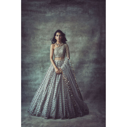 Vvani by Vani Vats Light Grey One Sleeve Blouse with Lehenga & Dupatta (Set of 3)