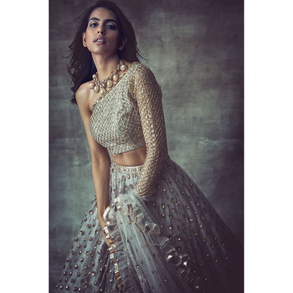 Vvani by Vani Vats Light Grey One Sleeve Blouse with Lehenga & Dupatta (Set of 3)