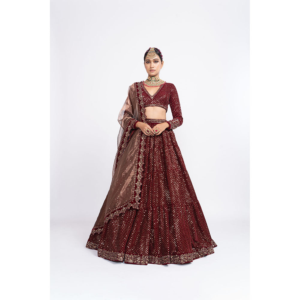 Vvani by Vani Vats Maroon Dense Dot Blouse with Lehenga & Dupatta (Set of 3)