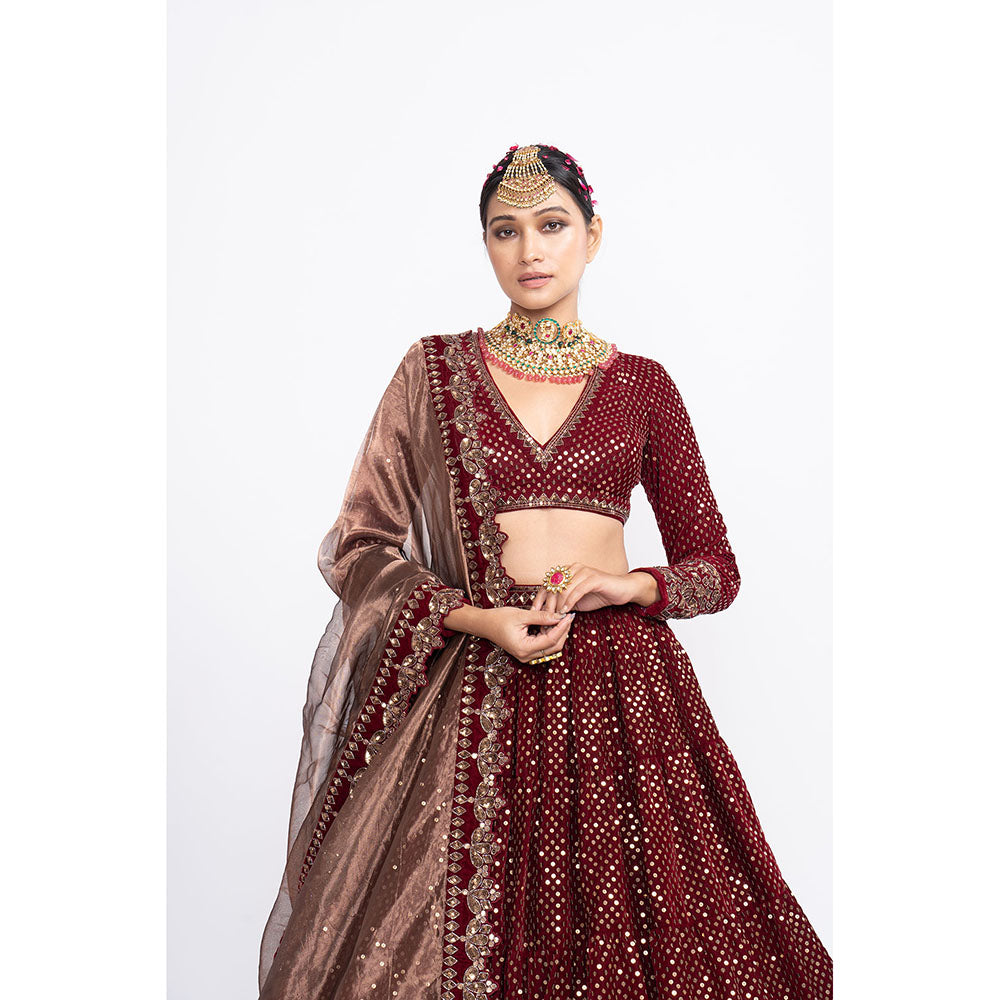 Vvani by Vani Vats Maroon Dense Dot Blouse with Lehenga & Dupatta (Set of 3)
