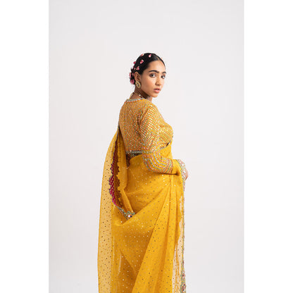 Vvani by Vani Vats Mustard Hand Cut Mirror Border Saree & Stitched Blouse