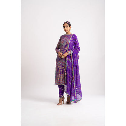 Vvani by Vani Vats Purple Multi Embroidery Round Neck Kurta & Pant with Dupatta (Set of 3)