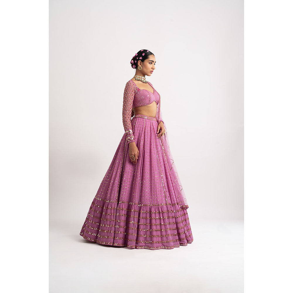 Vvani by Vani Vats Dark Blush Single Tier Blouse with Lehenga & Dupatta (Set of 3)